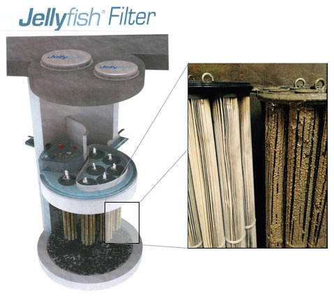 Jellyfish filter used in water treatment, showing condition of new and needing-replacement filter